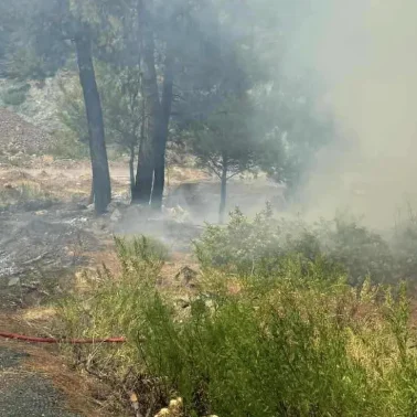Πότε επιτρέπονται οι φωτιές στα χωράφια