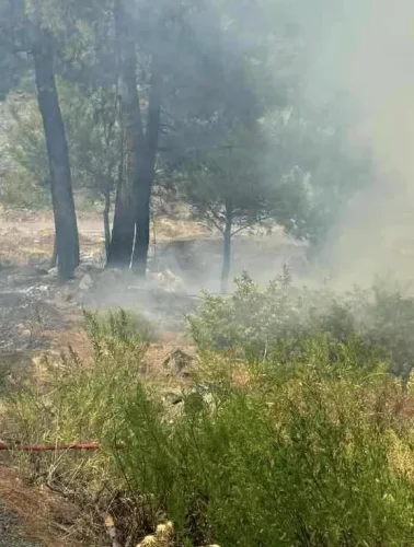 Πότε επιτρέπονται οι φωτιές στα χωράφια