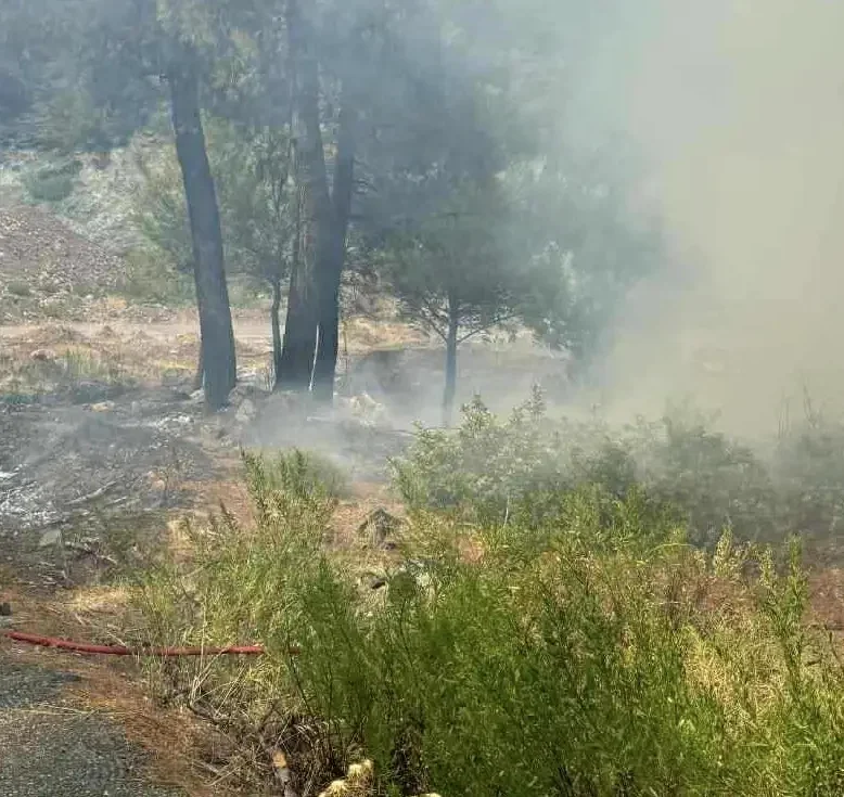 Πότε επιτρέπονται οι φωτιές στα χωράφια