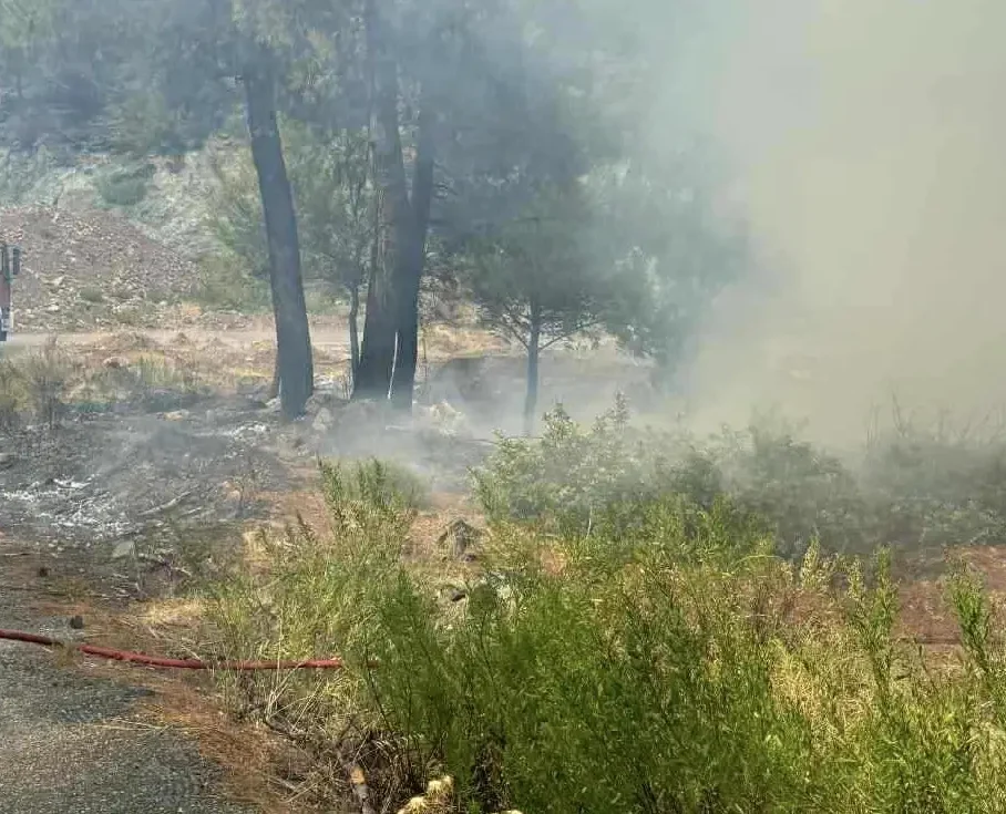 Πότε επιτρέπονται οι φωτιές στα χωράφια