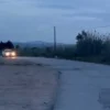 Εύβοια νέα και ειδήσεις