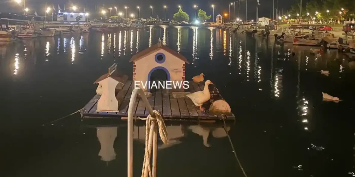 Νέα Αρτάκη, λιμάνι