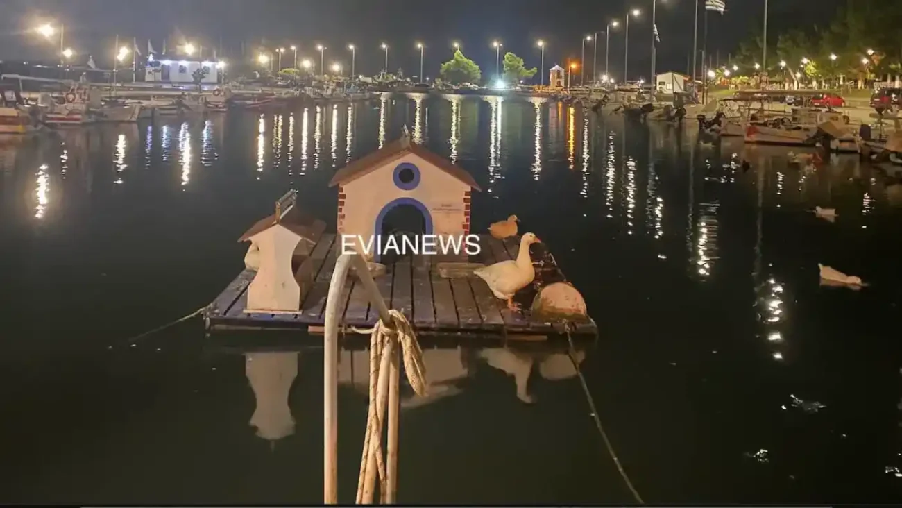 Νέα Αρτάκη, λιμάνι