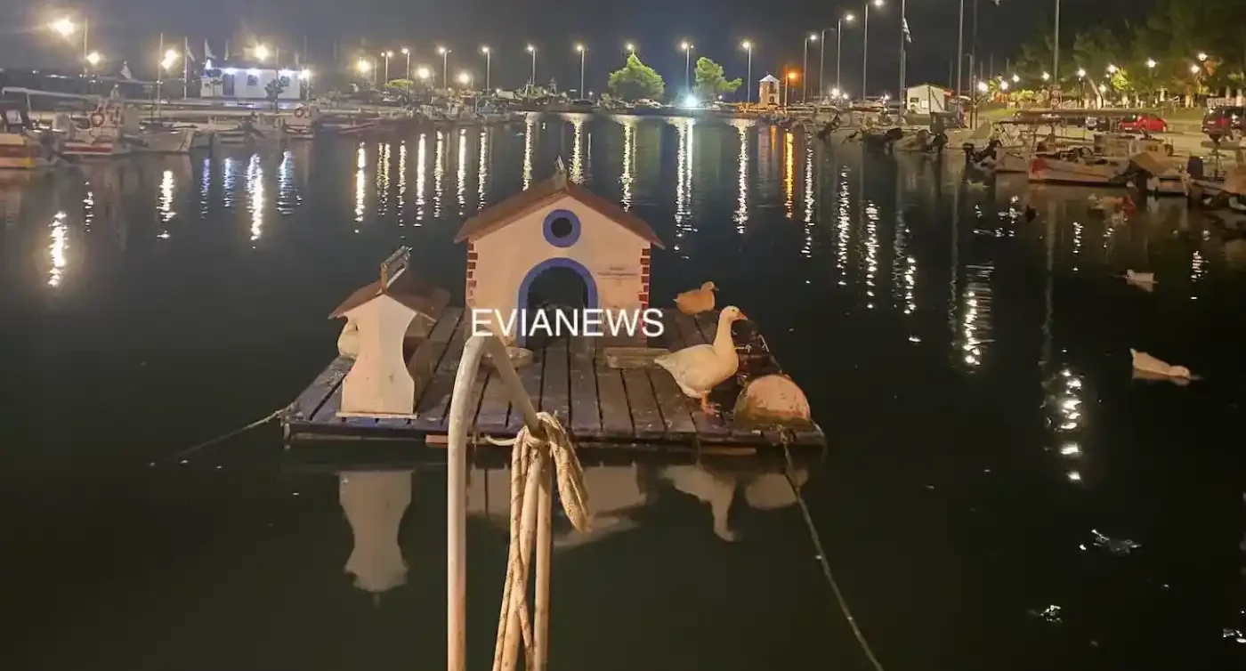 Νέα Αρτάκη, λιμάνι