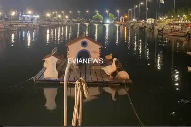 Νέα Αρτάκη, λιμάνι