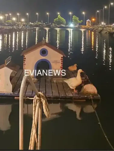 Νέα Αρτάκη, λιμάνι