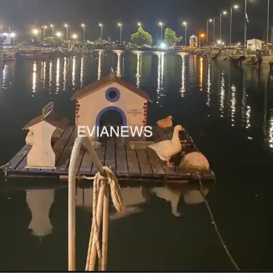Νέα Αρτάκη, λιμάνι