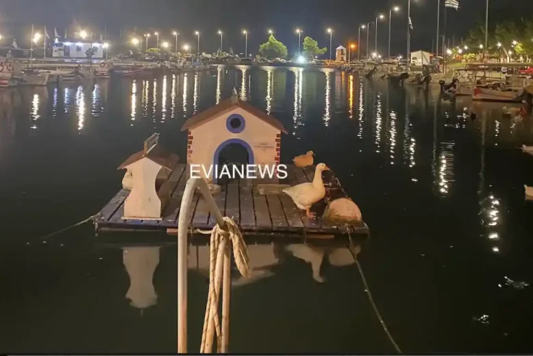 Νέα Αρτάκη, λιμάνι