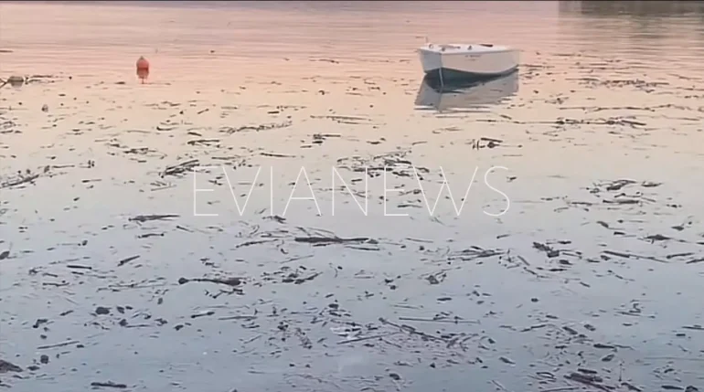 Θάλασσα