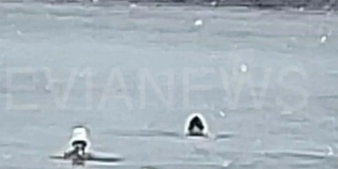 Κολυμβητές στο χιόνι