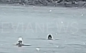 Κολυμβητές στο χιόνι