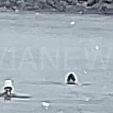 Κολυμβητές στο χιόνι