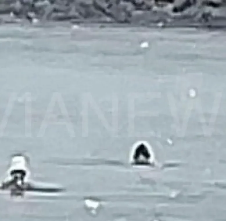 Κολυμβητές στο χιόνι