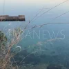 Εύβοια νέα και ειδήσεις