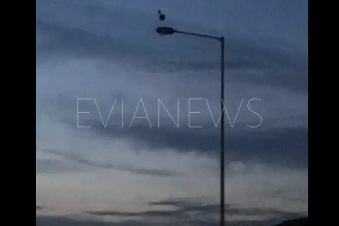 Πελαργός καθισμένος πάνω σε κολώνα ηλεκτροδότησης στην Εύβοια.