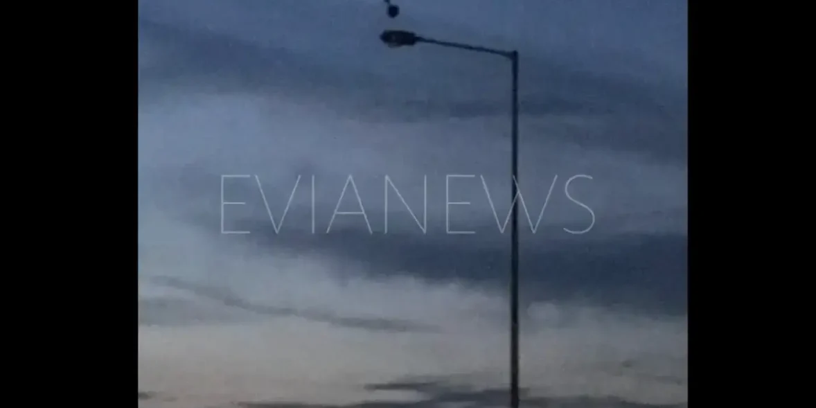 Πελαργός καθισμένος πάνω σε κολώνα ηλεκτροδότησης στην Εύβοια.