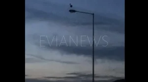 Πελαργός καθισμένος πάνω σε κολώνα ηλεκτροδότησης στην Εύβοια.