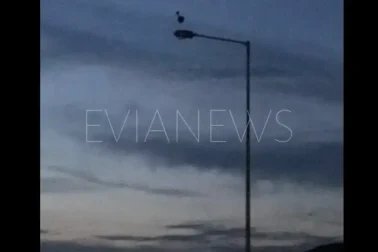 Πελαργός καθισμένος πάνω σε κολώνα ηλεκτροδότησης στην Εύβοια.