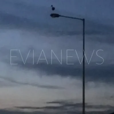 Πελαργός καθισμένος πάνω σε κολώνα ηλεκτροδότησης στην Εύβοια.