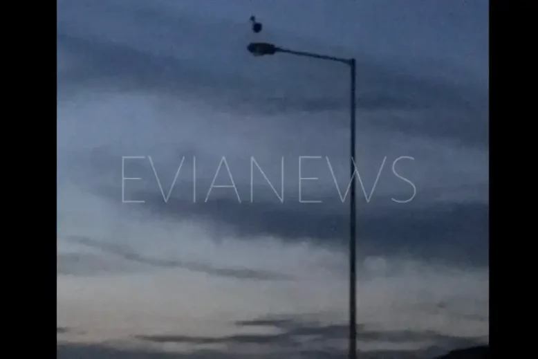 Πελαργός καθισμένος πάνω σε κολώνα ηλεκτροδότησης στην Εύβοια.