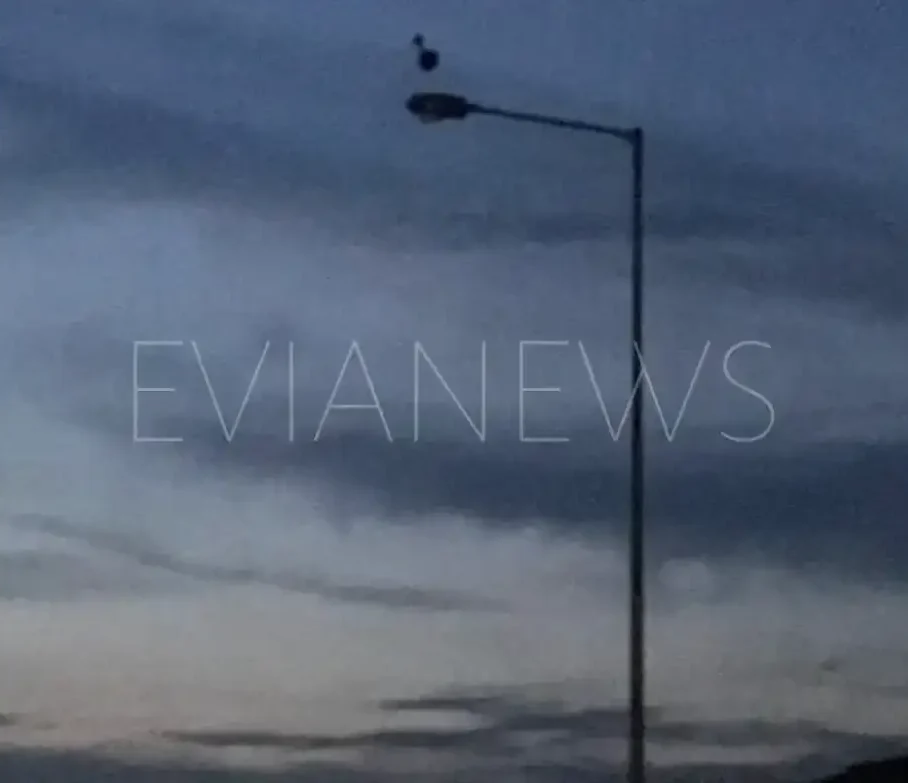 Πελαργός καθισμένος πάνω σε κολώνα ηλεκτροδότησης στην Εύβοια.