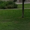 Εύβοια νέα και ειδήσεις