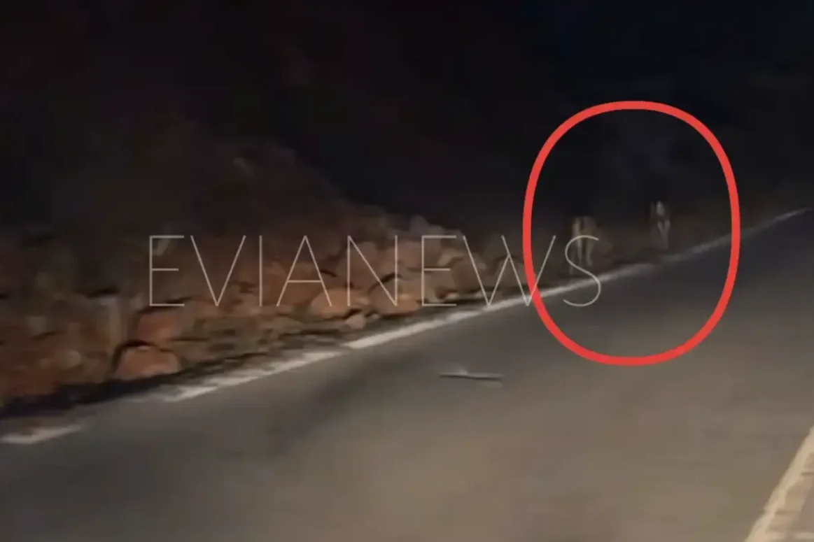 Έμεινε άφωνος στην Εύβοια με δύο ελάφια στην άκρη του δρόμου