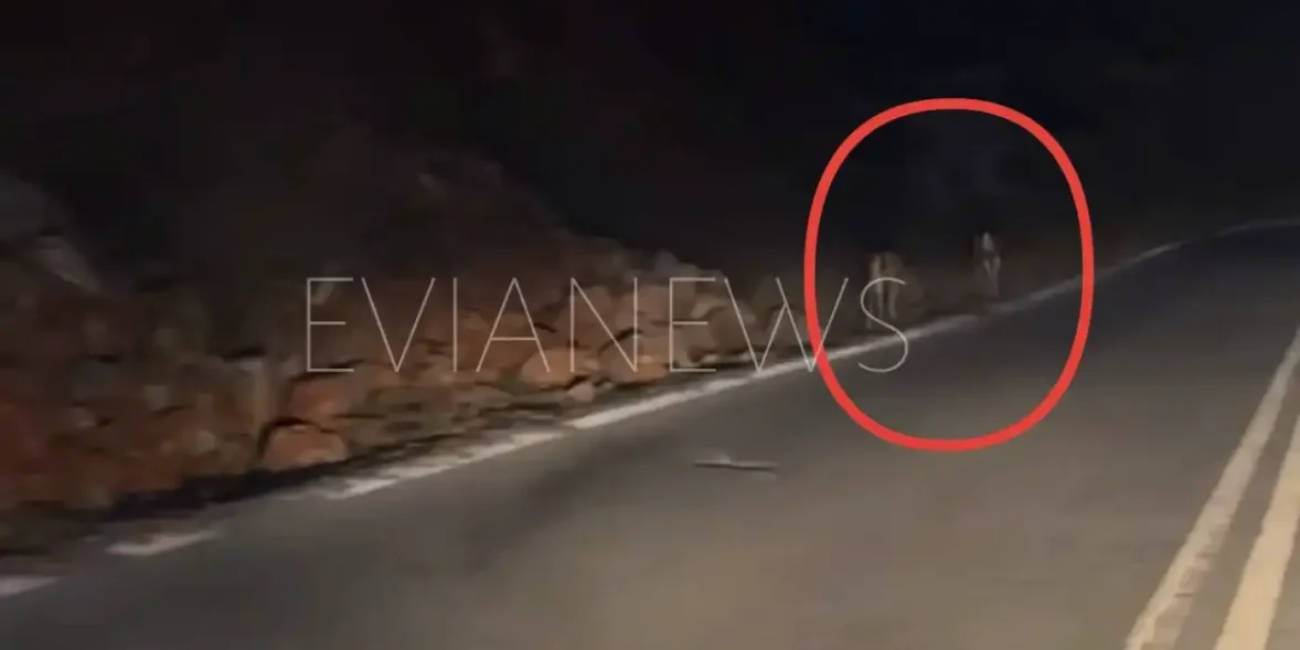 Έμεινε άφωνος στην Εύβοια με δύο ελάφια στην άκρη του δρόμου