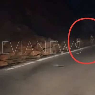 Έμεινε άφωνος στην Εύβοια με δύο ελάφια στην άκρη του δρόμου