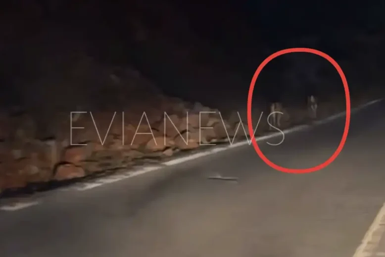 Έμεινε άφωνος στην Εύβοια με δύο ελάφια στην άκρη του δρόμου
