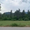 Εύβοια νέα και ειδήσεις