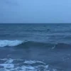 Εύβοια νέα και ειδήσεις