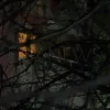 Εύβοια νέα και ειδήσεις