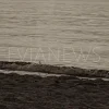 Εύβοια νέα και ειδήσεις