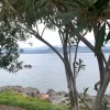 Εύβοια νέα και ειδήσεις