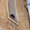 Εύβοια νέα και ειδήσεις