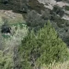 Εύβοια νέα και ειδήσεις