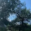 Εύβοια νέα και ειδήσεις