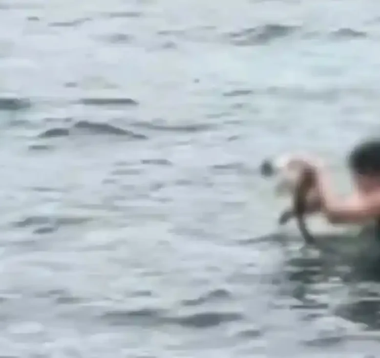 Γυναίκα στη θάλασσα