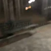 Νέα Εύβοια