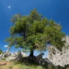 Εύβοια νέα και ειδήσεις