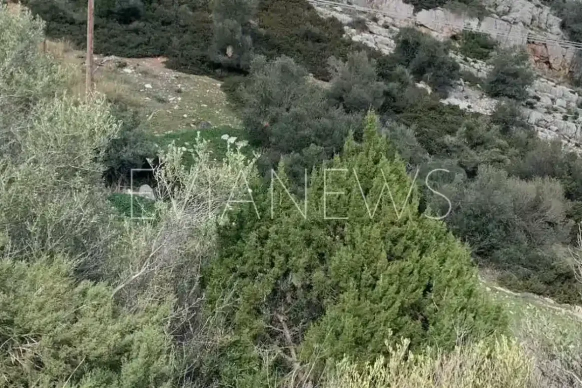 Χωράφι