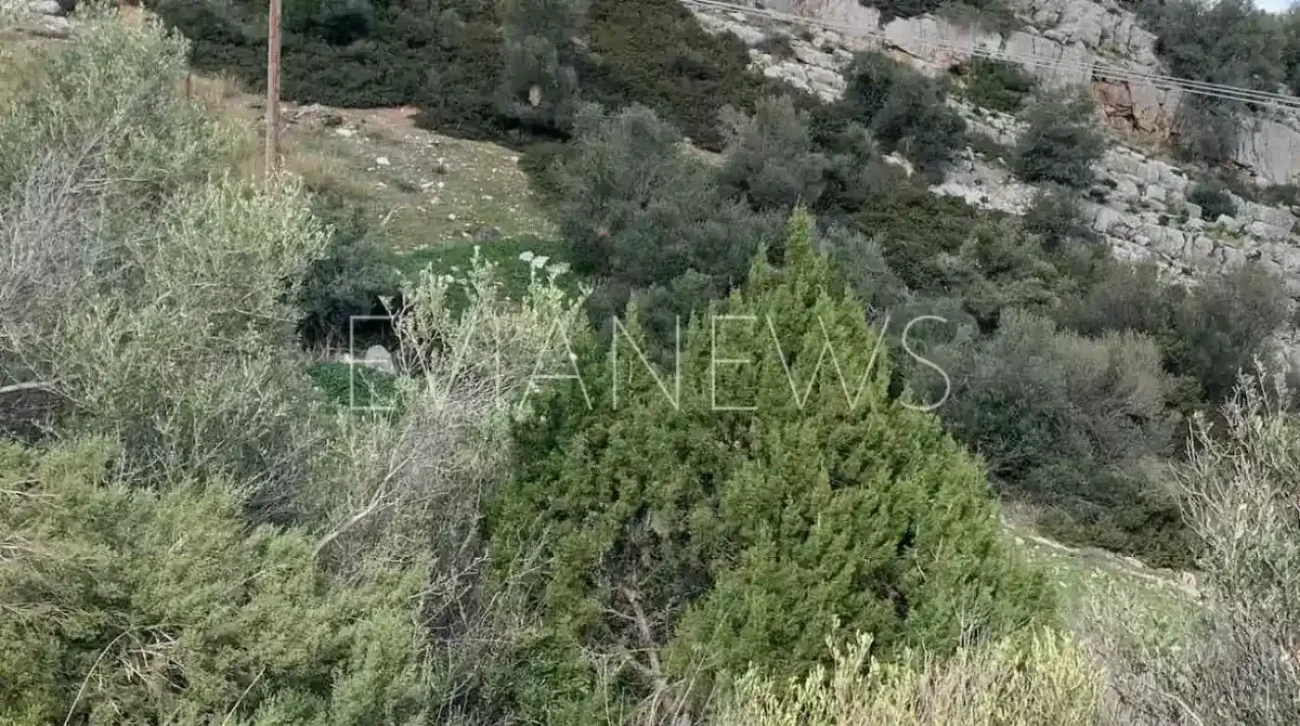 Χωράφι