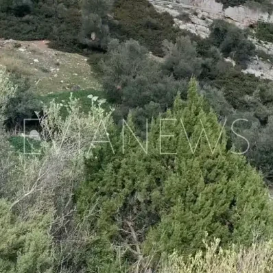 Χωράφι