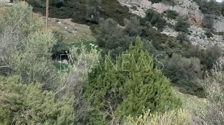 Χωράφι