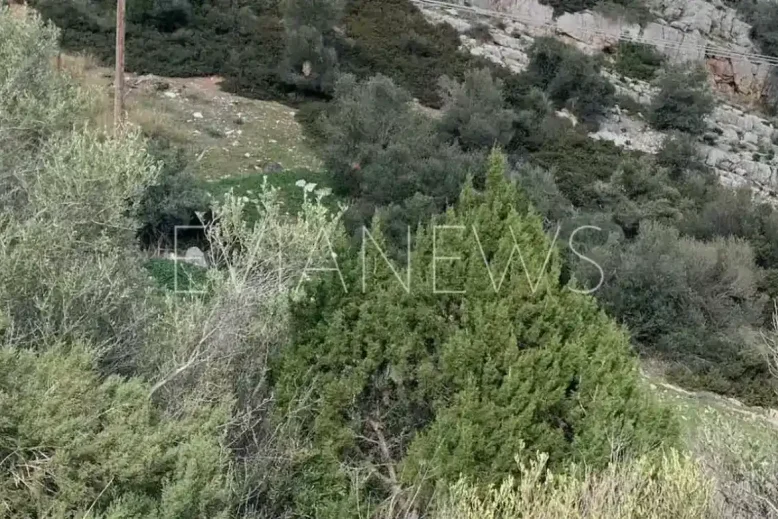 Χωράφι