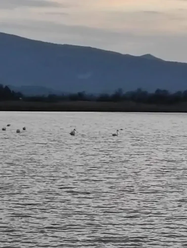 Σπάνια πλάσματα στην Εύβοια