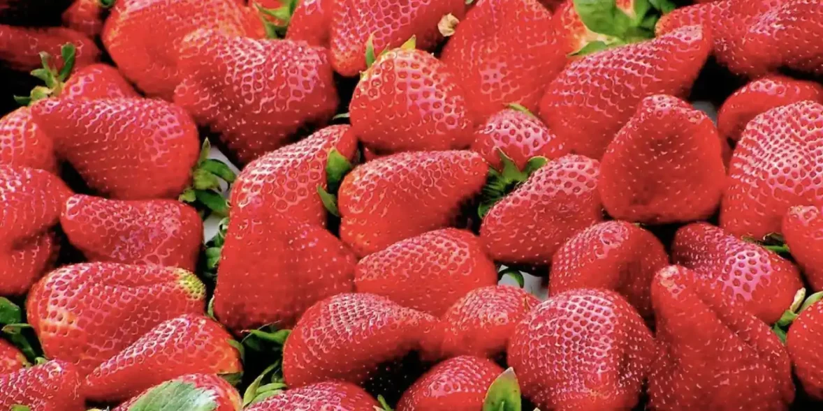 Φράουλες