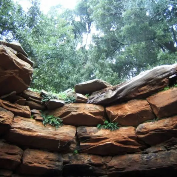 Δρακόσπιτα