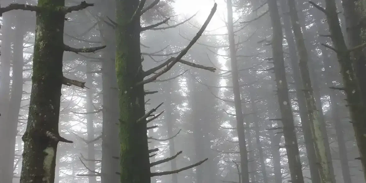 Το πιο δροσερό μέρος στην Εύβοια